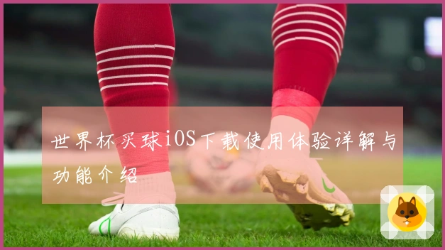 世界杯买球iOS下载使用体验详解与功能介绍