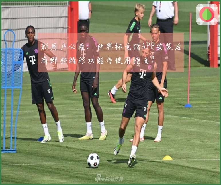 新用户必看：世界杯竞猜APP安装后有哪些精彩功能与使用指南？