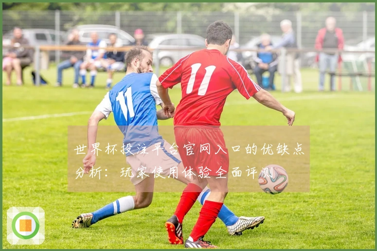 世界杯投注平台官网入口的优缺点分析：玩家使用体验全面评测