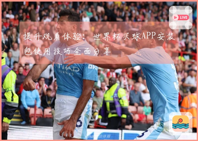 提升观看体验：世界杯买球APP安装包使用技巧全面分享