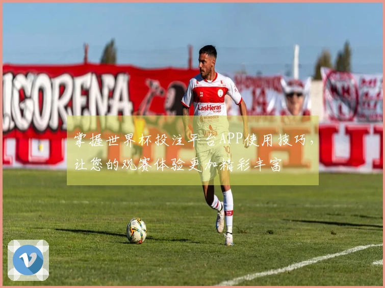 掌握世界杯投注平台APP使用技巧，让您的观赛体验更加精彩丰富